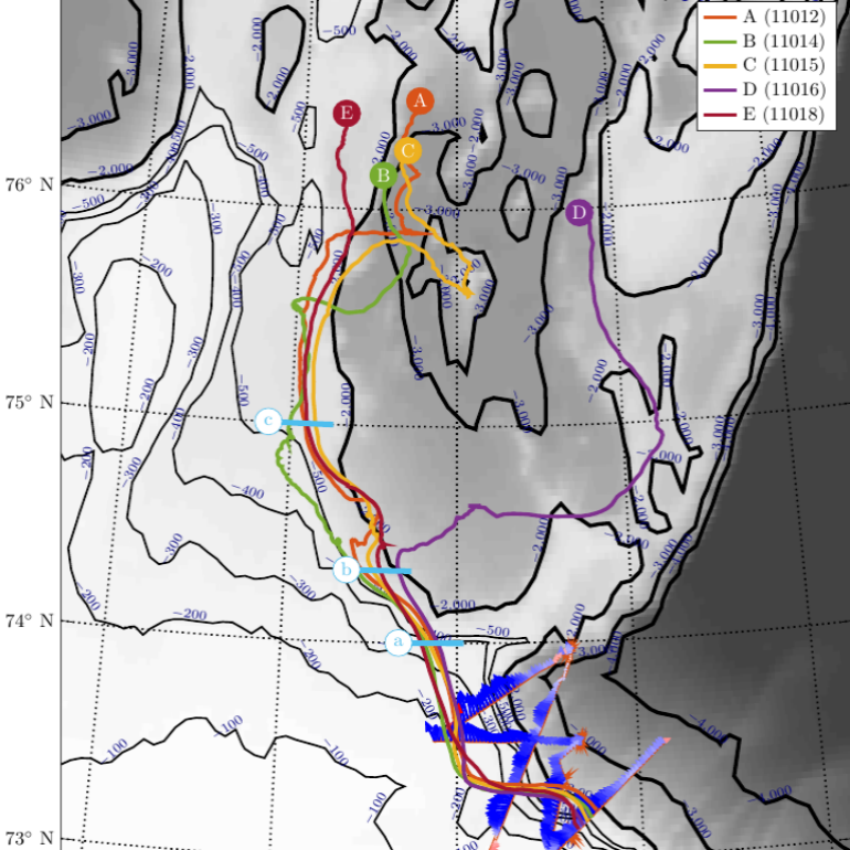 Whither the Chukchi Slope Current?